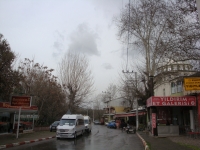 DSC00516