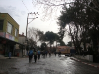 DSC00518