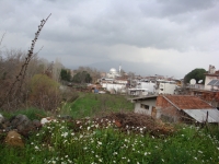DSC00519