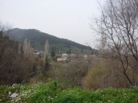 DSC00520