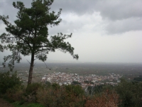 DSC00529