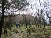 DSC00544