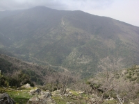 DSC00555