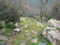 DSC00574