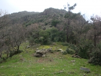 DSC00575