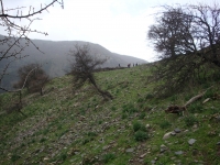 DSC00581