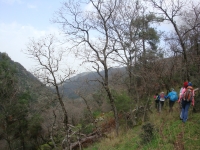 DSC00591