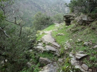 DSC00603