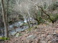 DSC00609