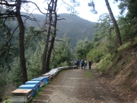 DSC00613