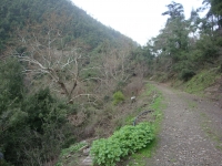 DSC00616