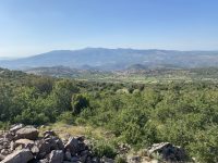 77769E8F-46CE-4563-9956-42A1526F2F7C-scaled