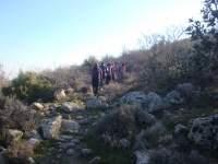 DSC09889