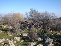 DSC09897