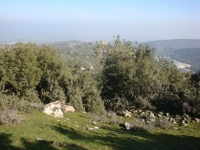 DSC09906