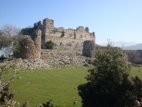 DSC09914
