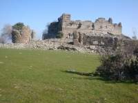DSC09916