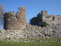 DSC09918