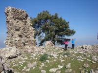 DSC09920