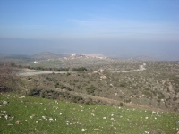 DSC09935
