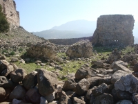 DSC09939
