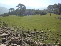 DSC09941