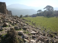 DSC09942