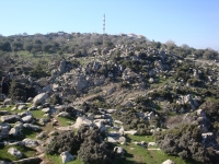 DSC09945