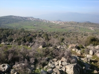 DSC09953