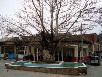 Yukarıkızılca Köyü