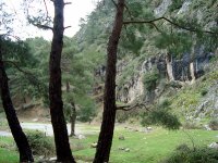 Mahmut Dağı