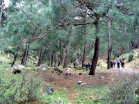 Mahmut Dağı