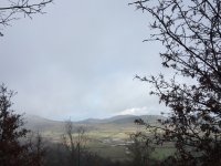img_0834