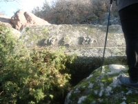 DSC05185