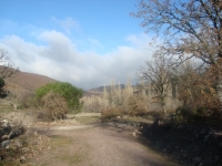 DSC05193