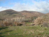 DSC05194