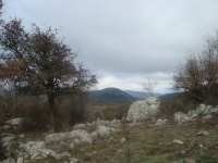 DSC05203