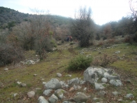 DSC05206