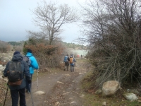 DSC05210