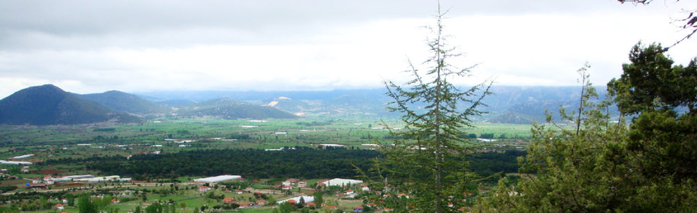 Şinasi Yüksel