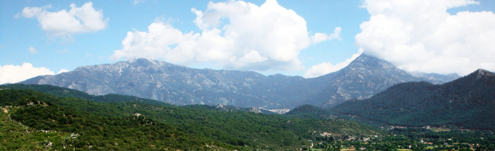 Şinasi Yüksel